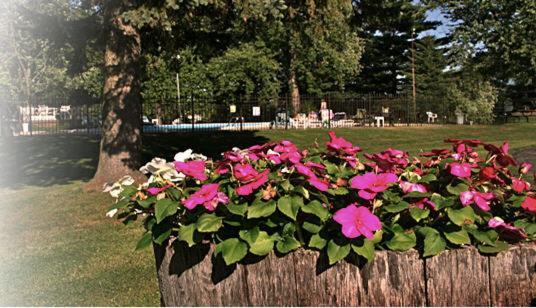 The Wesley Inn Motel Lake Geneva Exteriér fotografie